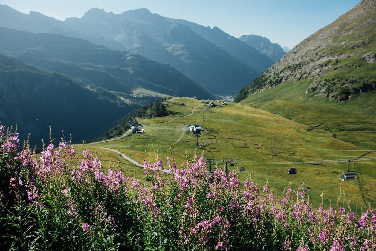 Albergo Ristoro Sitten Gressoney-la-Trinité Esterno foto